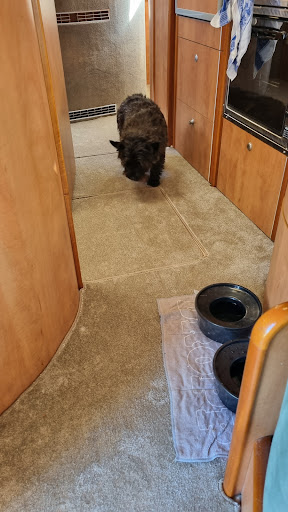 Photo from customer review